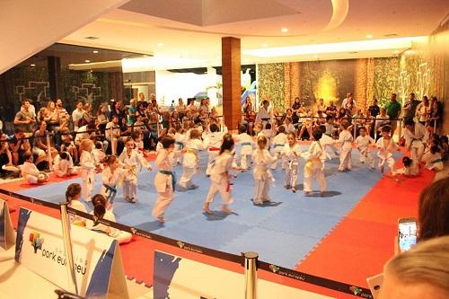 Associação Blumenau de Karate mostra no Park Europeu o trabalho desenvolvido / Foto: Divulgação