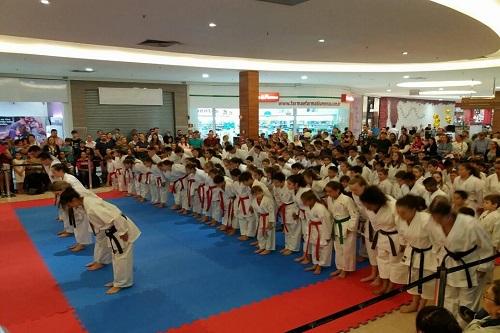 Comissão técnica mostram em três aulas o trabalho desenvolvido pela Associação Blumenau de karate / Foto: Divulgação