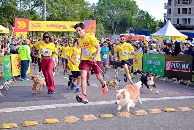 Cachorrida Garoto: Cuidados Essenciais para Exercícios com Pets