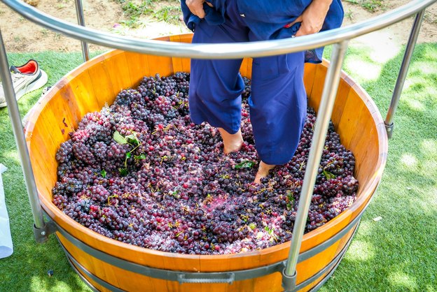 Corrida do Vinho atrai atletas ao Vale do São Francisco