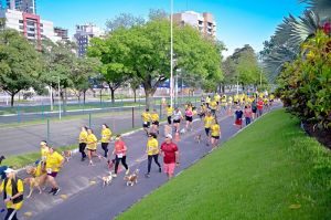 Cuidados essenciais para exercícios com pets
