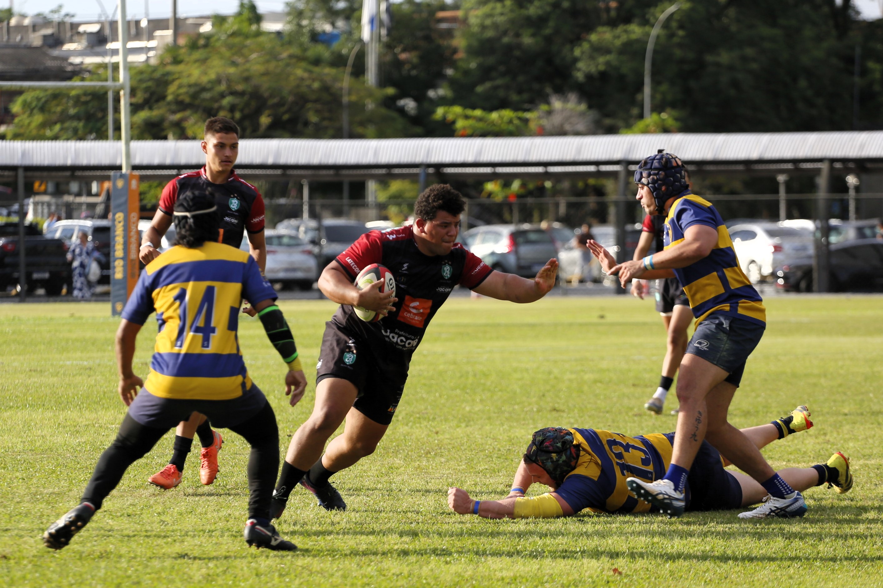 Jacareí Rugby estreia com vitória no Paulista de XV