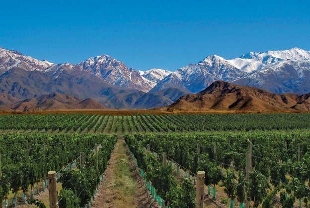 Maratonas de Santiago e Mendoza oferecem corrida e enoturismo em 2027