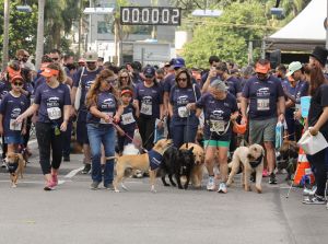 Retirada de Kits do Circuito Pet Run Neste Sábado
