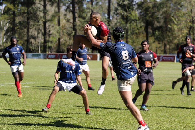 Super 12 de Rugby define finalistas