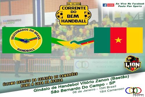 Desafio Internacional de Handebol entre o Combinado da Liga Nacional e a Seleção de Camarões / Foto: Divulgação