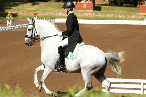 Com o cavalo “Xamã”, João Victor conquistou três medalhas nos Jogos Sul-Americanos de Santiago / Foto: Ricardo Monteiro / CBH