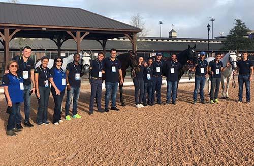 Cavalos do adestramento e equipe após aprovação na inspeção veterinária  / Foto: Divulgação