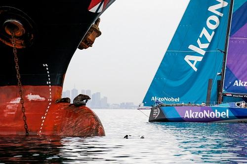 Team AkzoNobel ficou em sétimo e último lugar da perna entre a Cidade do Cabo, na África do Sul, e Melbourne, na Austrália / Foto: Jesus Renedo/Volvo Ocean Race
